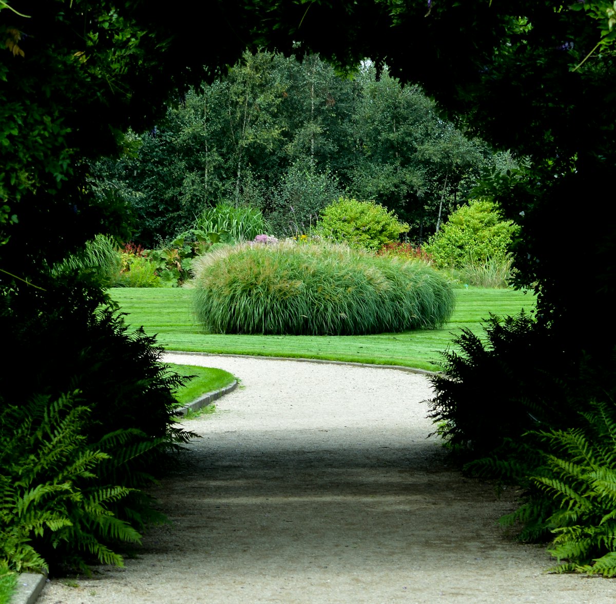A curved gravel path leading to a clipped shrub on a lawn