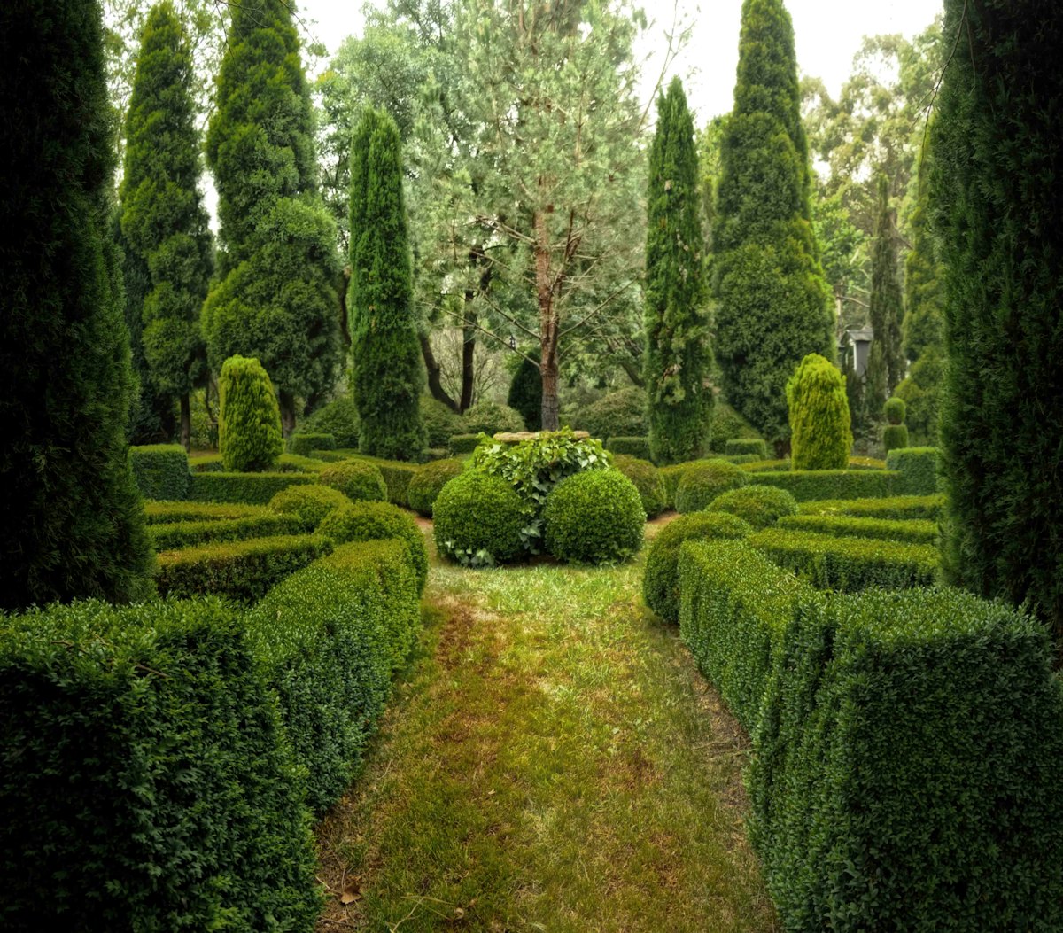 Neatly clipped hedges and topiary