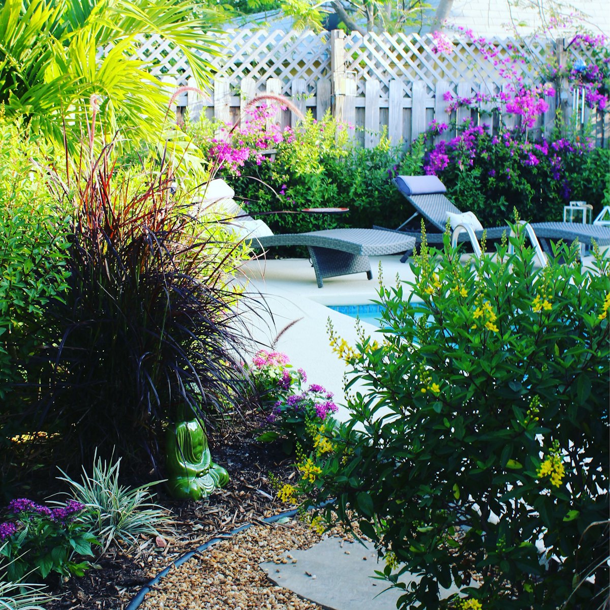 A planted garden beside a swimming pool