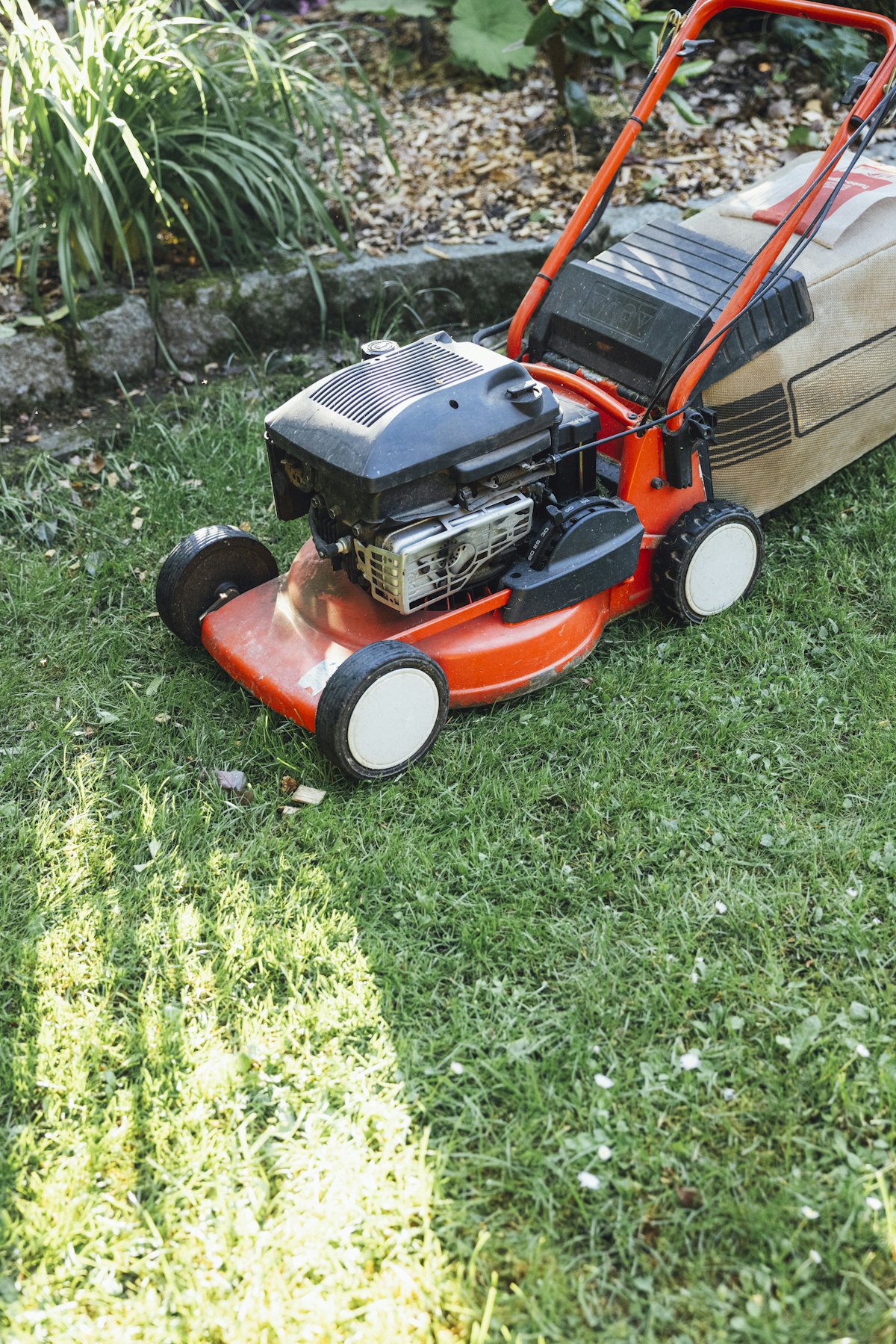 A lawn mower on freshly cut grass