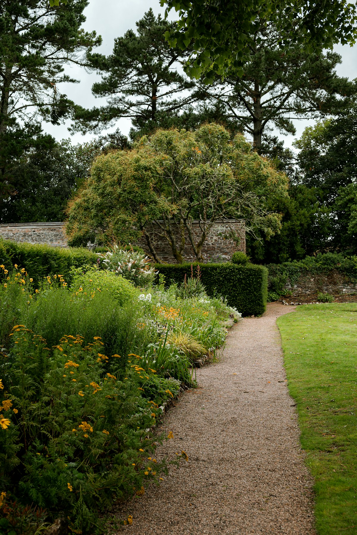 A designed garden with a gravel path and mixed planting