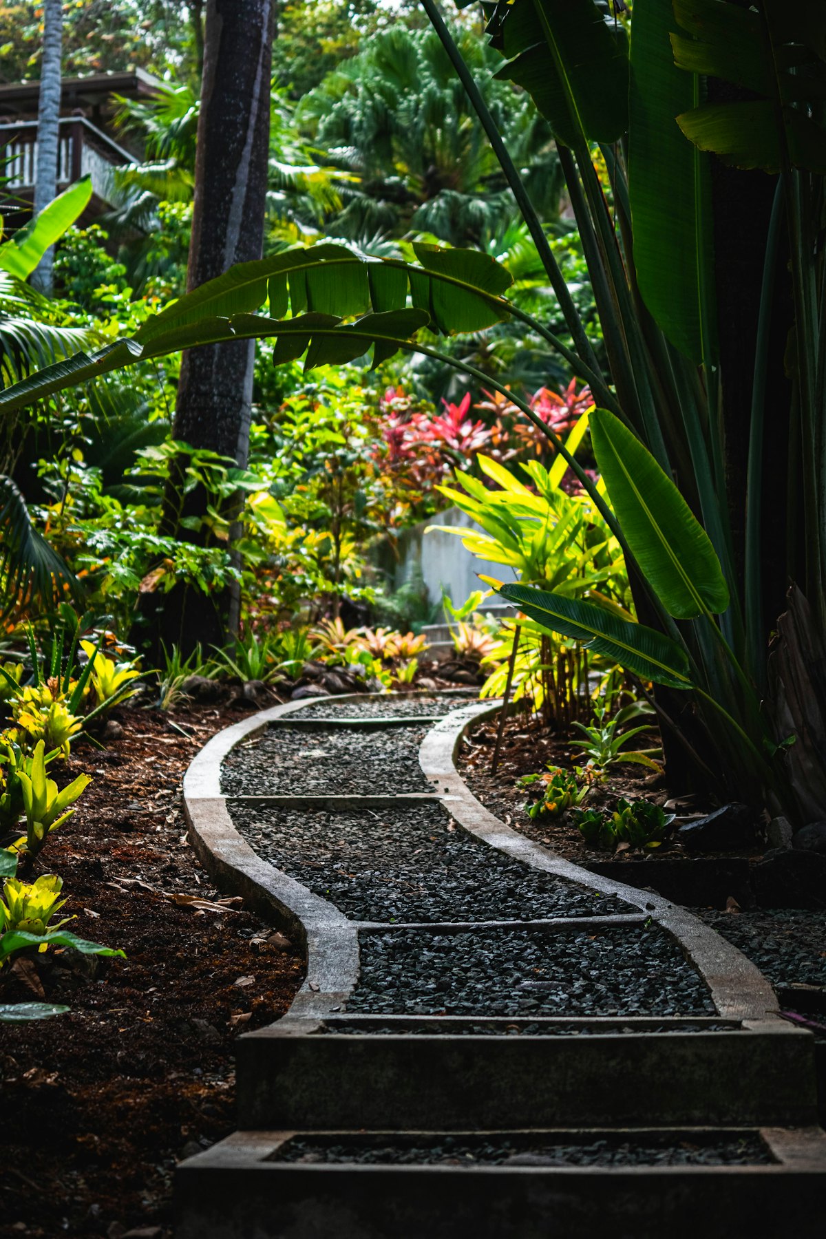 A winding stone path through tropical planting