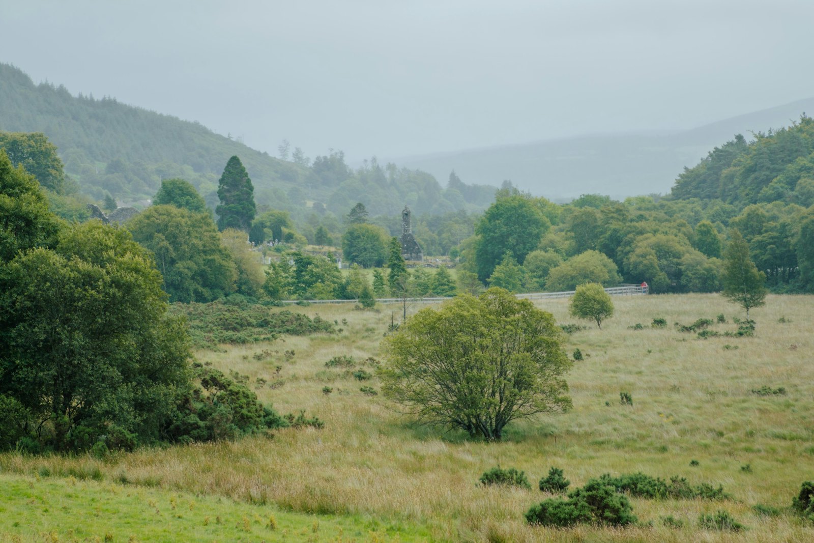 A misty green valley