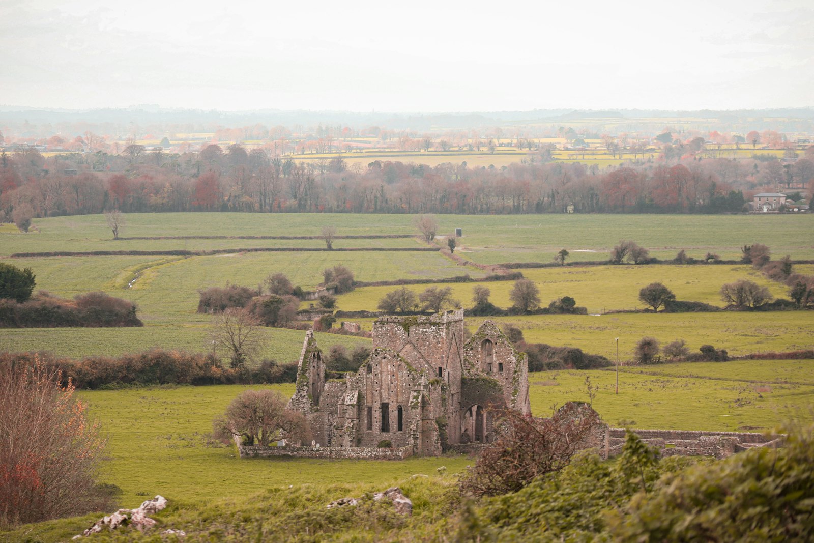 Farmland and an old abbey ruin